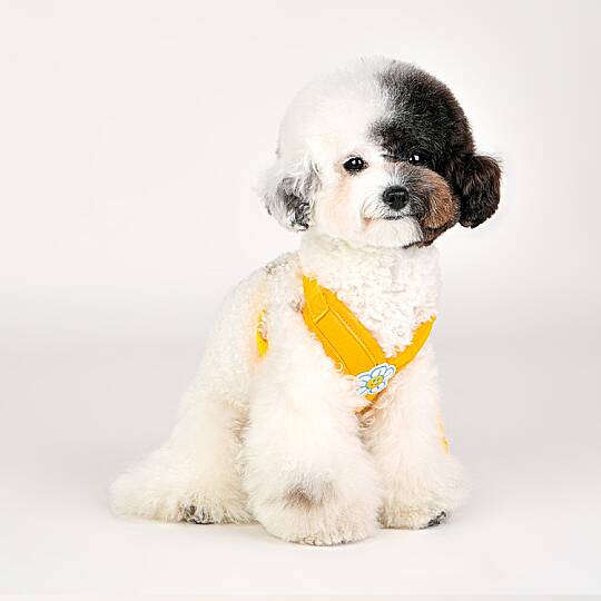FLOWER X HARNESS / YELLOW - 6