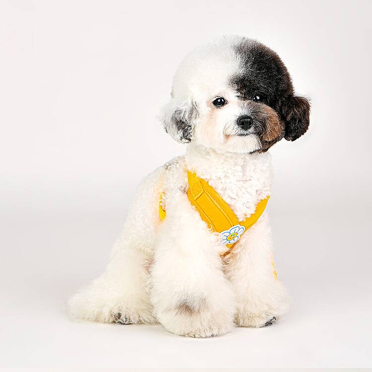 FLOWER X HARNESS / YELLOW - 6