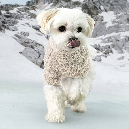 FLUFFY ZIP UP JUMPER / BEIGE - 5