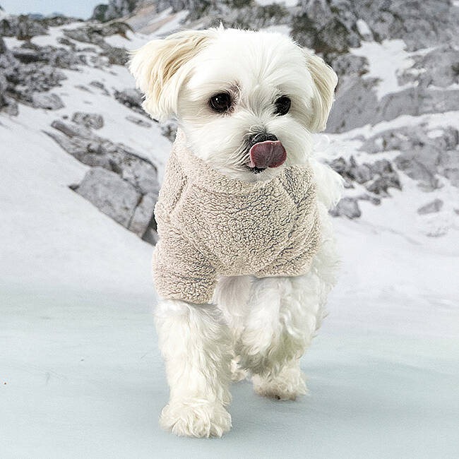 FLUFFY ZIP UP JUMPER / BEIGE - 5