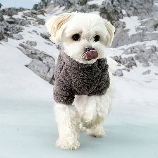 FLUFFY ZIP UP JUMPER / GREY - 6