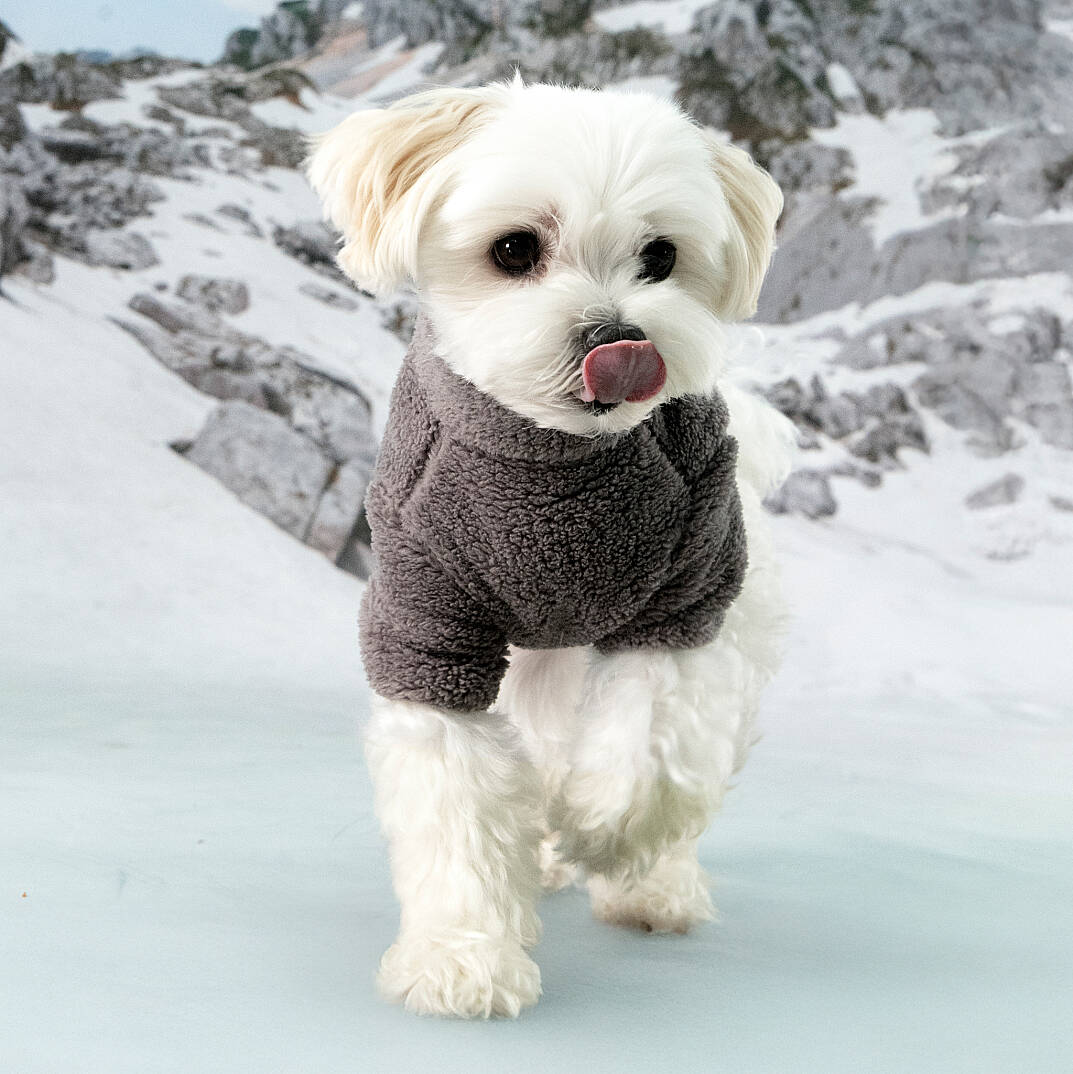 FLUFFY ZIP UP JUMPER / GREY - 6