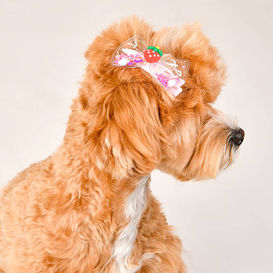 Fruit PoP HairPin/PINK - 4