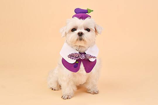 Fruit PoP Scarf/PURPLE - 4