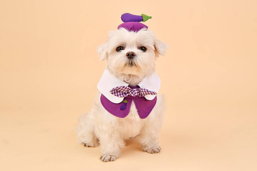 Fruit PoP Scarf/PURPLE - 4