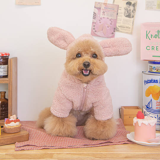 FURRY FRIENDS / PINK - 7
