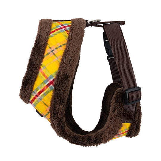 GALAXIA HARNESS A / BROWN - 4