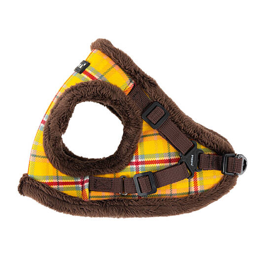 GALAXIA HARNESS  B / BROWN - 4