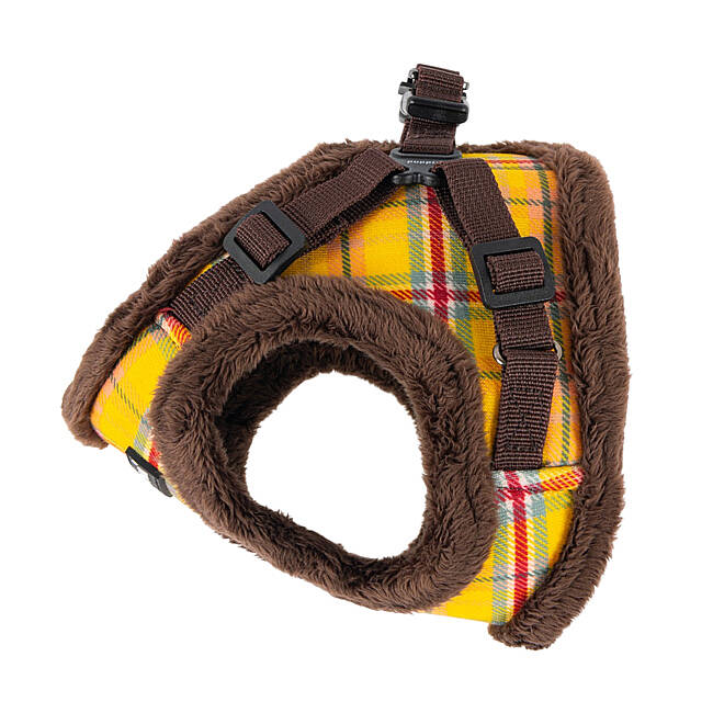 GALAXIA HARNESS  B / BROWN - 5