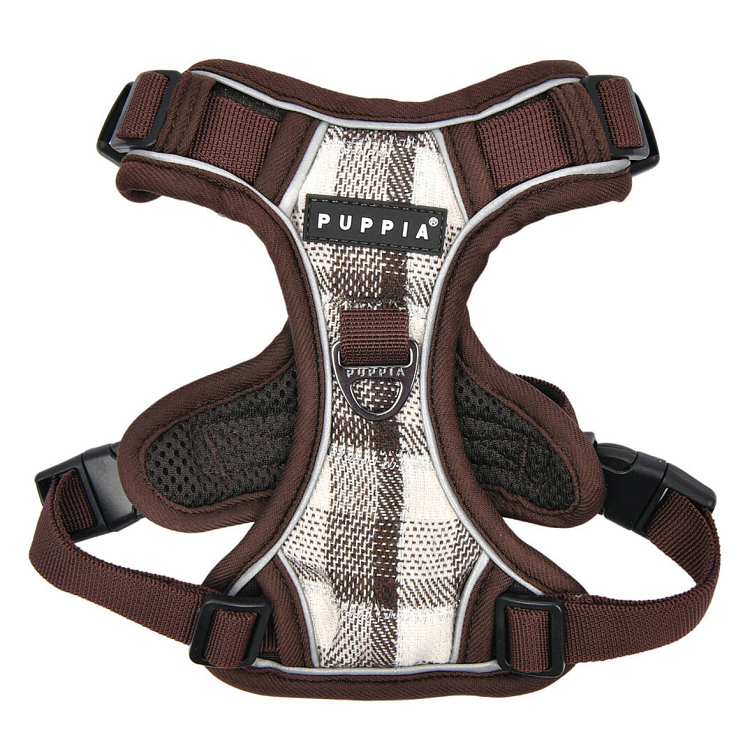 GARRETT HARNESS H / BROWN - 1