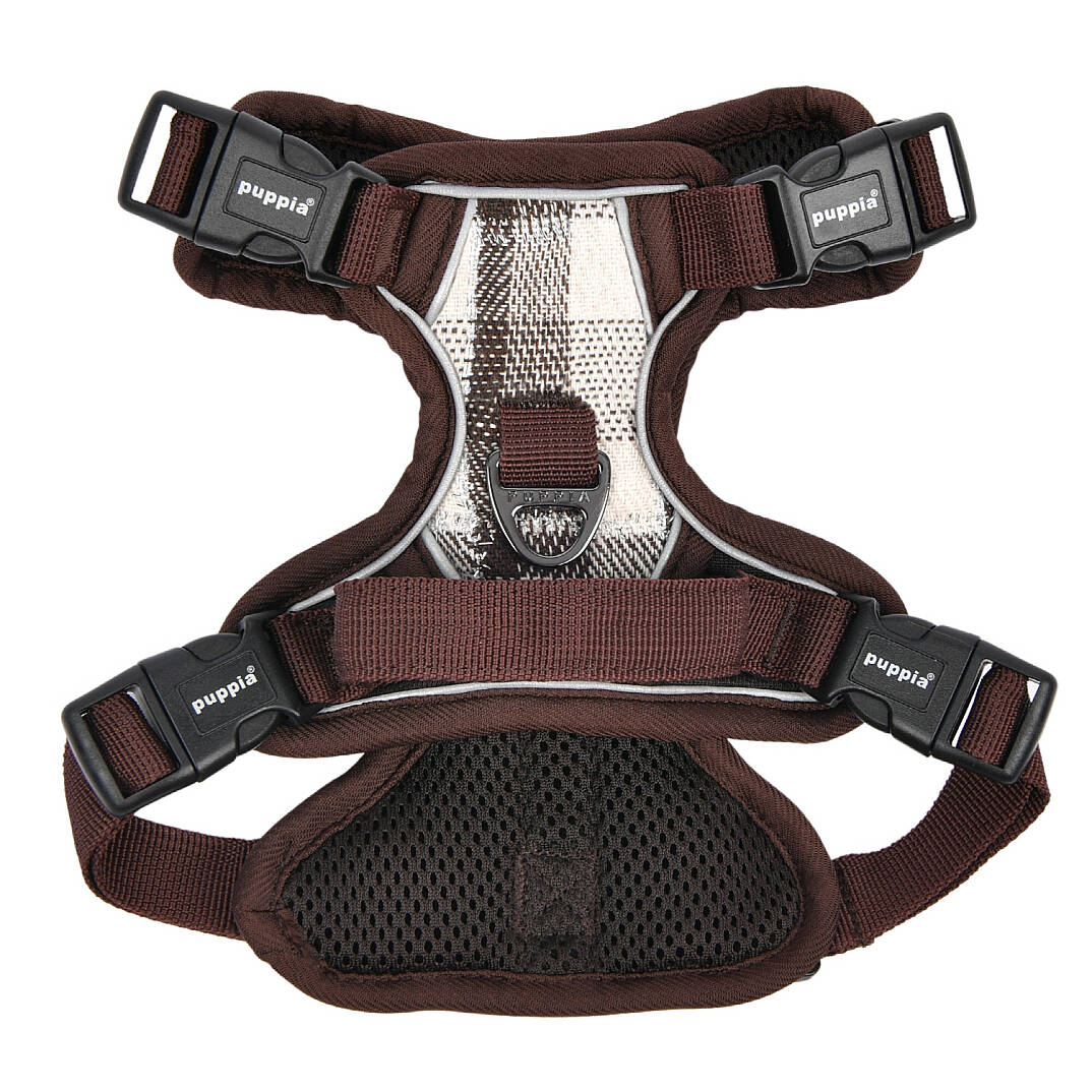 GARRETT HARNESS H / BROWN - 2