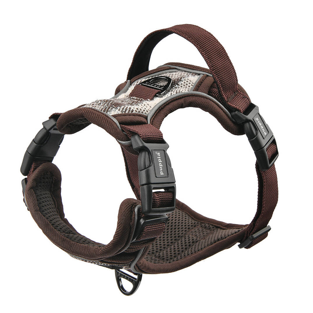 GARRETT HARNESS H / BROWN - 3