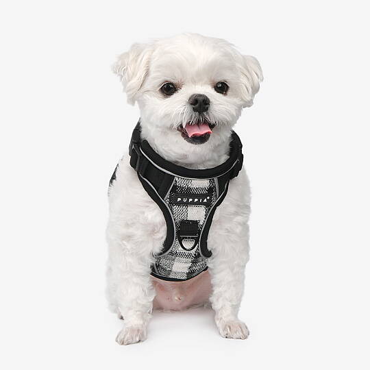 GARRETT HARNESS H PAXD-HH2073-BK - 4