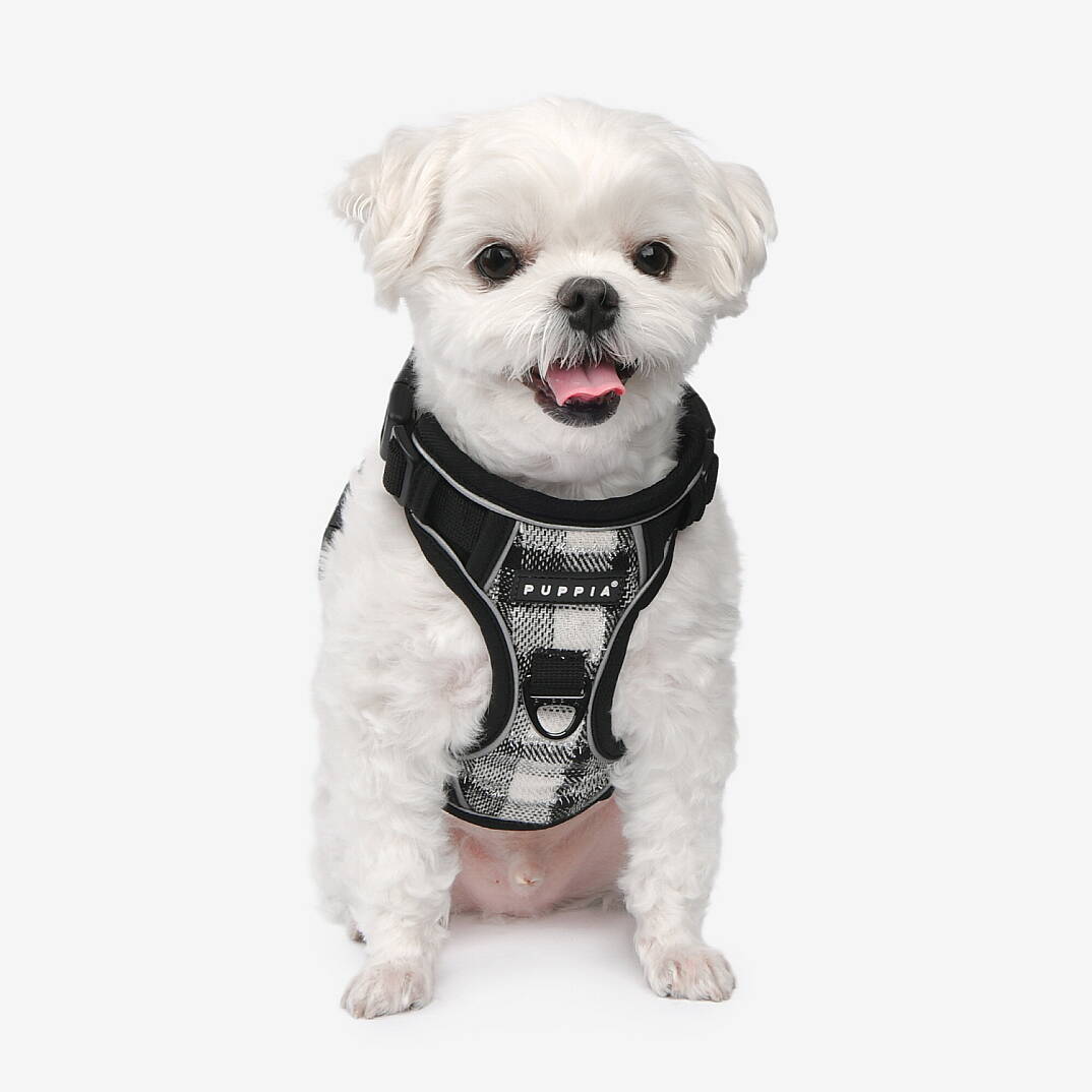 GARRETT HARNESS H PAXD-HH2073-BK - 4