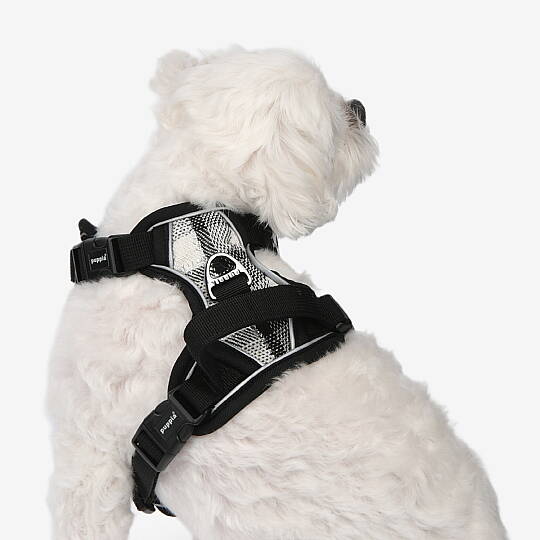 GARRETT HARNESS H PAXD-HH2073-BK - 5