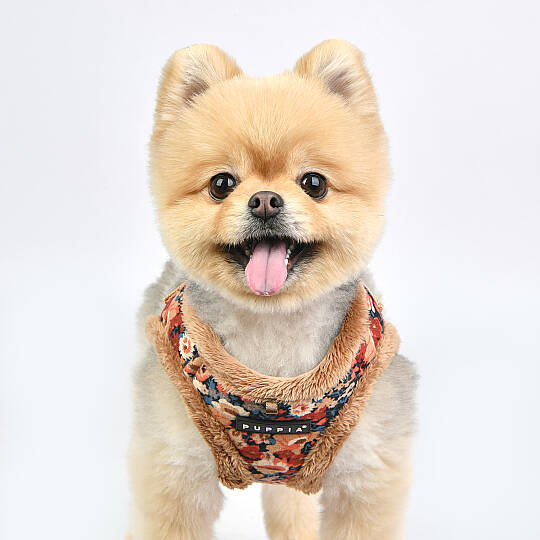 GIANNI HARNESS B / BEIGE - 7