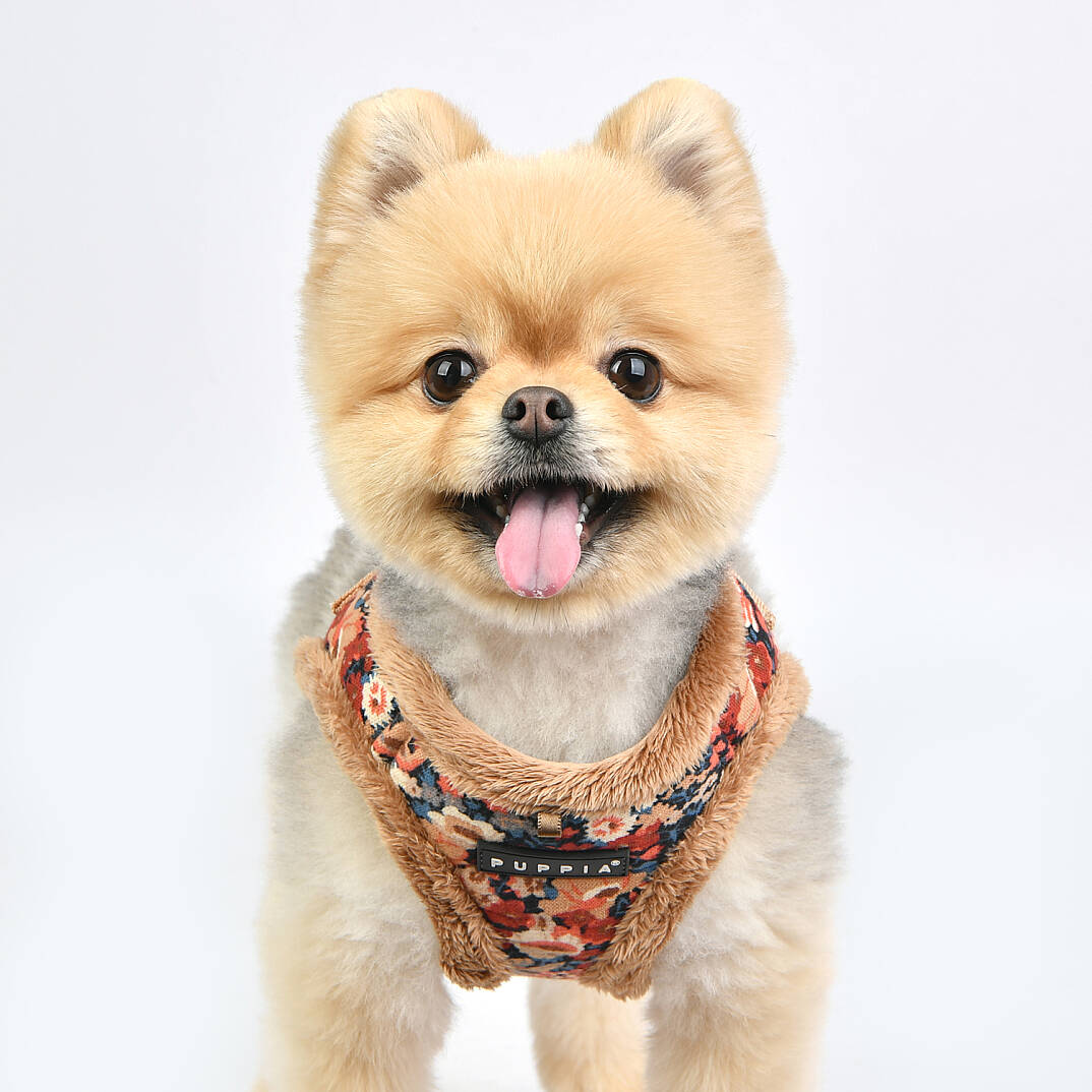GIANNI HARNESS B / BEIGE - 7