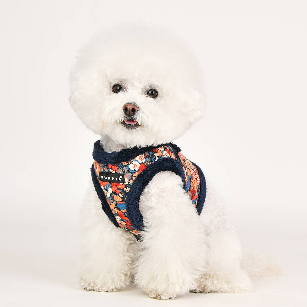 GIANNI HARNESS B / NAVY - 7