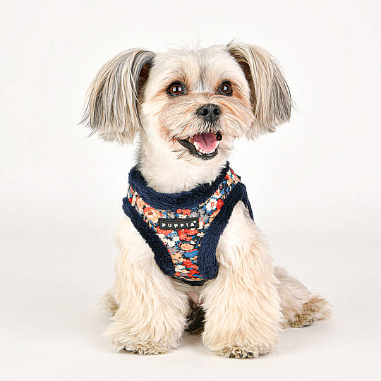 GIANNI HARNESS B / NAVY - 9