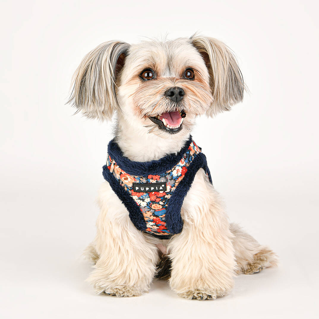 GIANNI HARNESS B / NAVY - 9