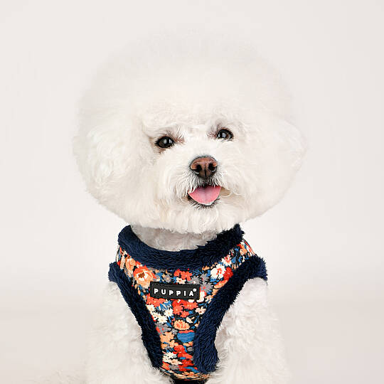 GIANNI HARNESS B / NAVY - 8