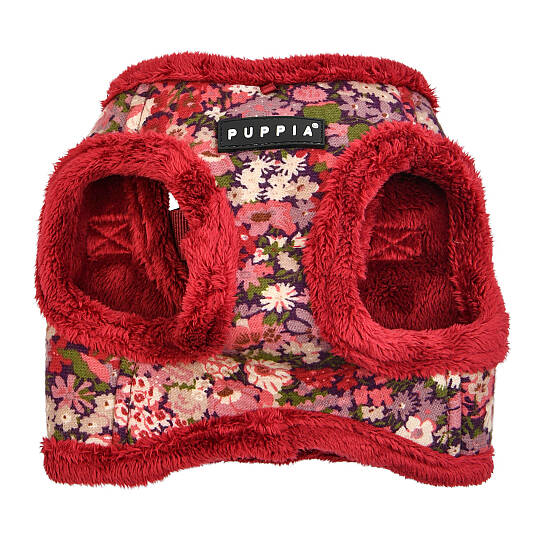 GIANNI HARNESS B/ WINE - 2