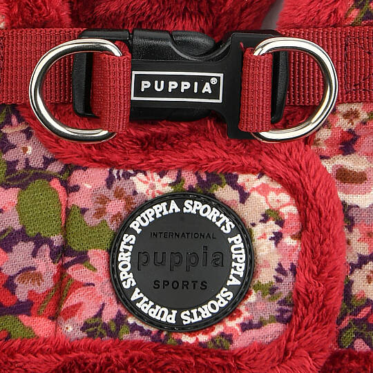 GIANNI HARNESS B/ WINE - 4