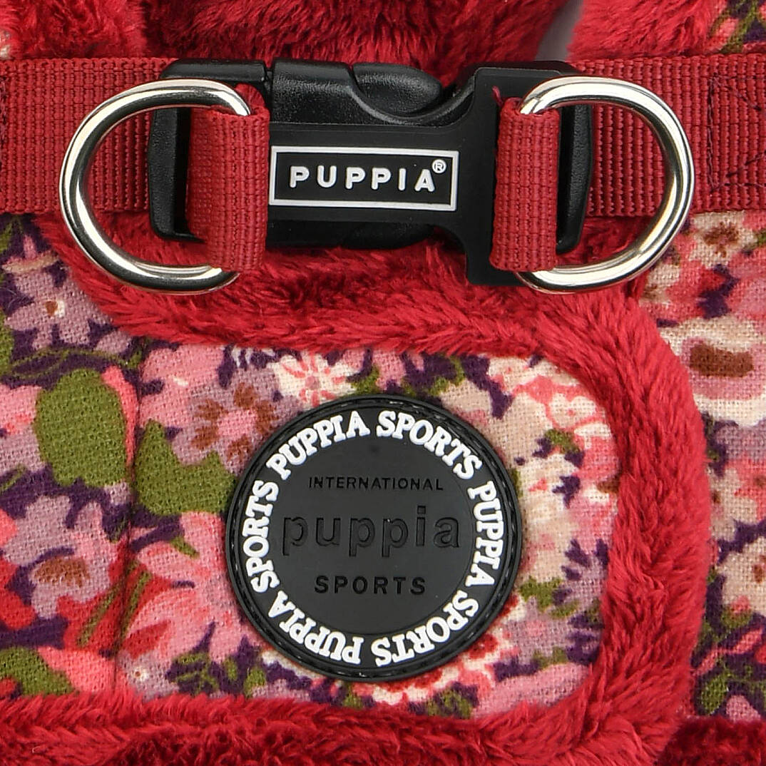 GIANNI HARNESS B/ WINE - 4
