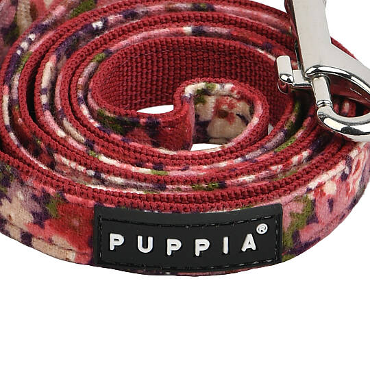 GIANNI LEAD / WINE - 2