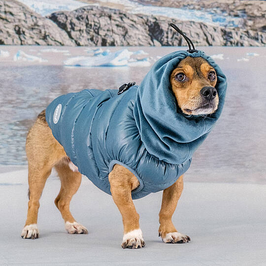 GLACIER SNOOD PUFFER VEST / TEAL - 8