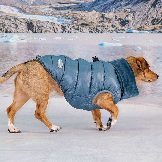 GLACIER SNOOD PUFFER VEST / TEAL - 9
