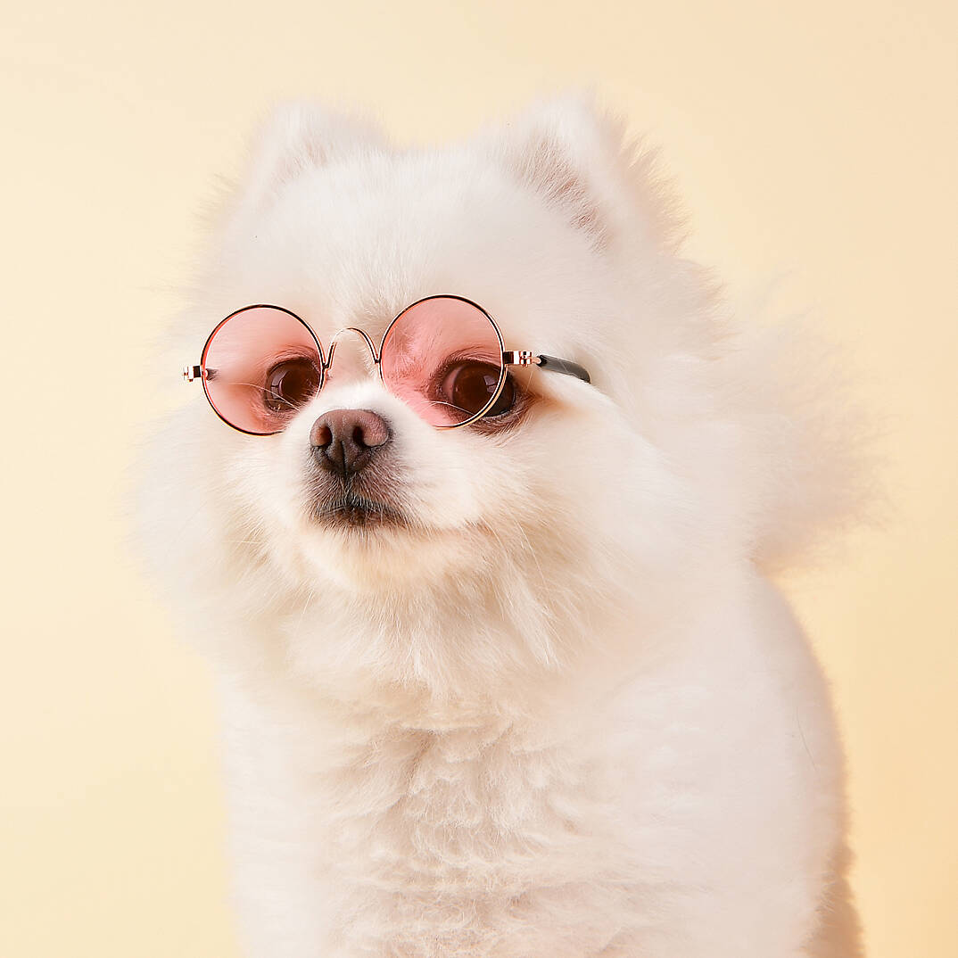 GLASSES/PINK - 3