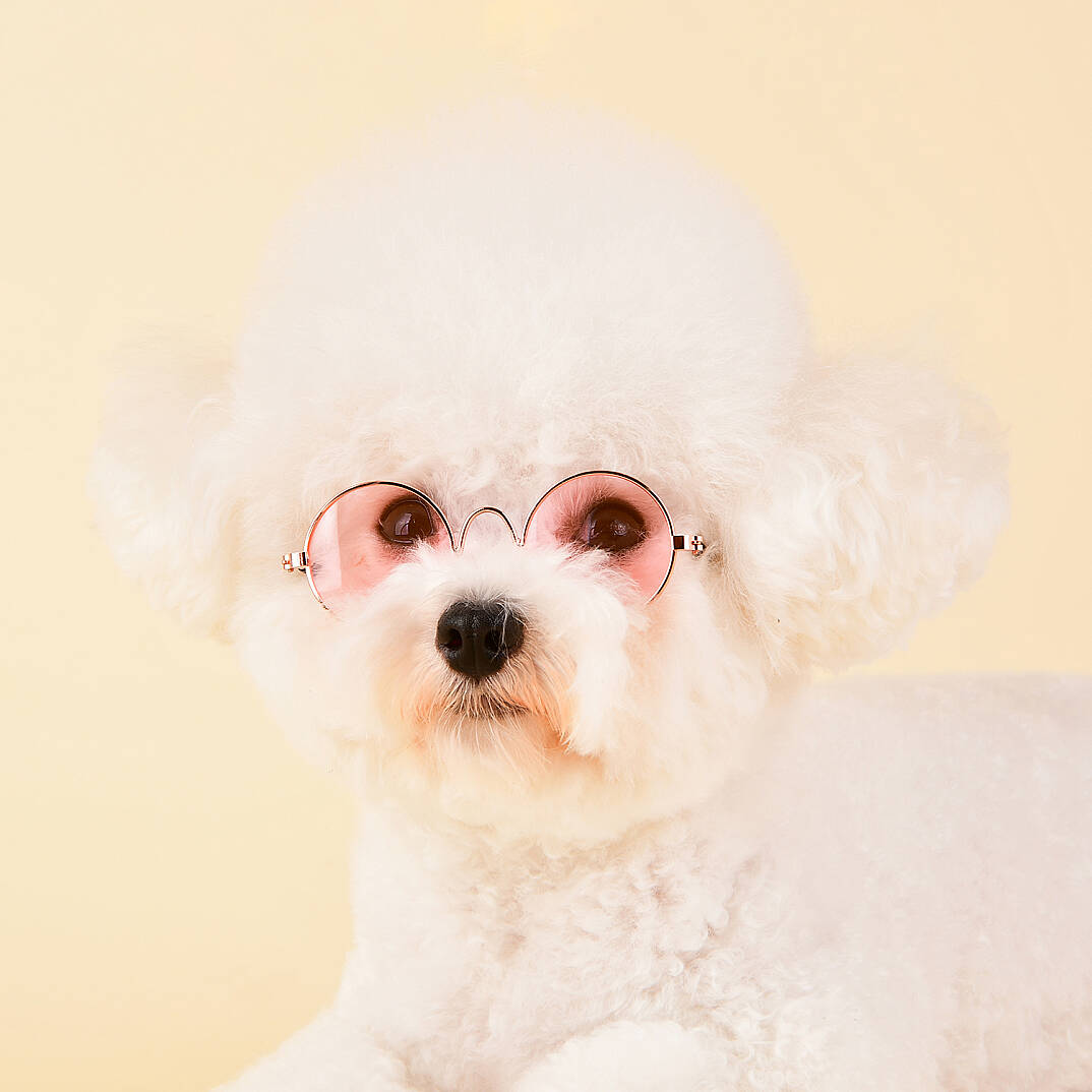 GLASSES/PINK - 4