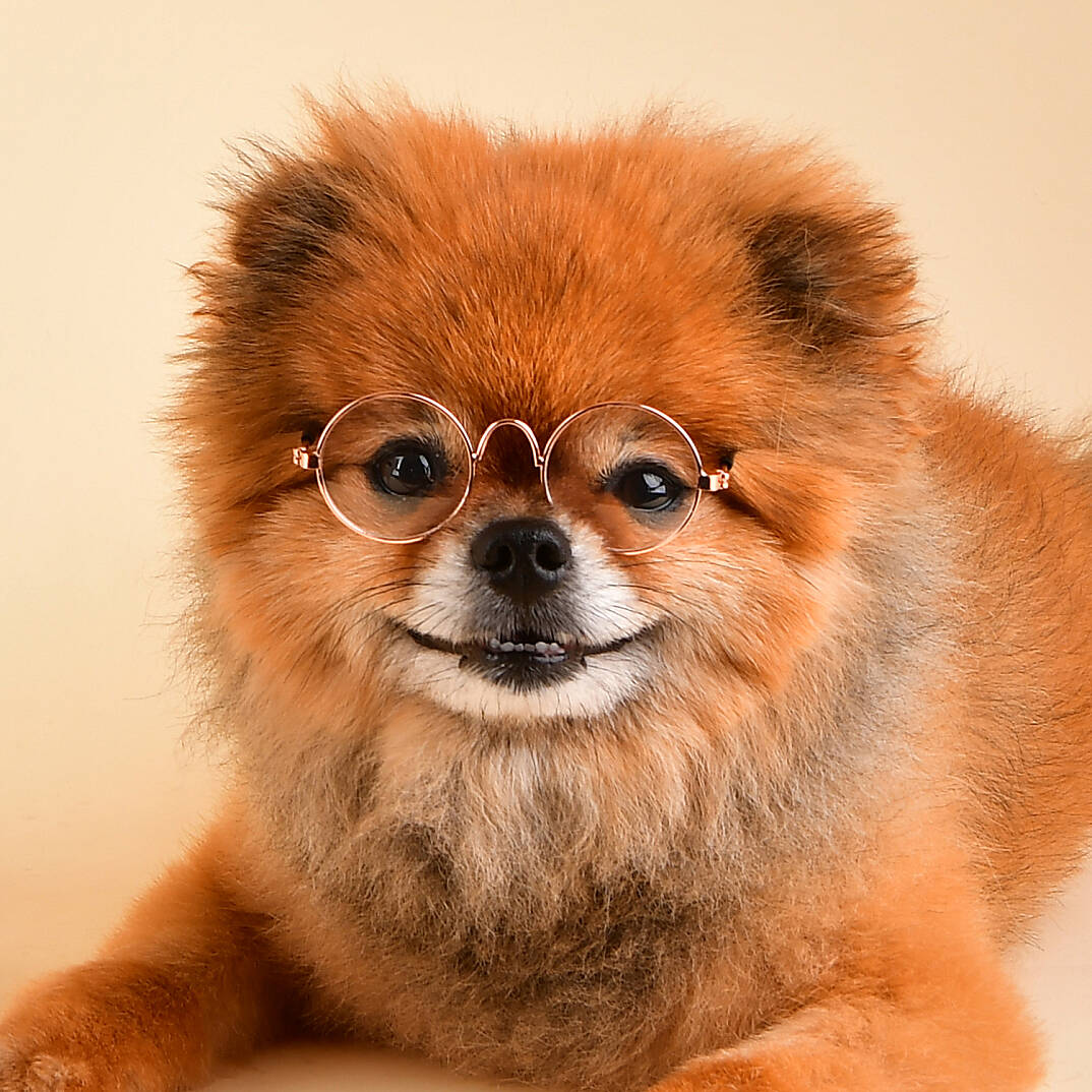 GLASSES/WHITE - 4