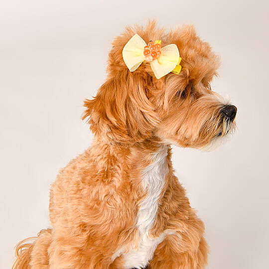 HairPin/YELLOW - 4