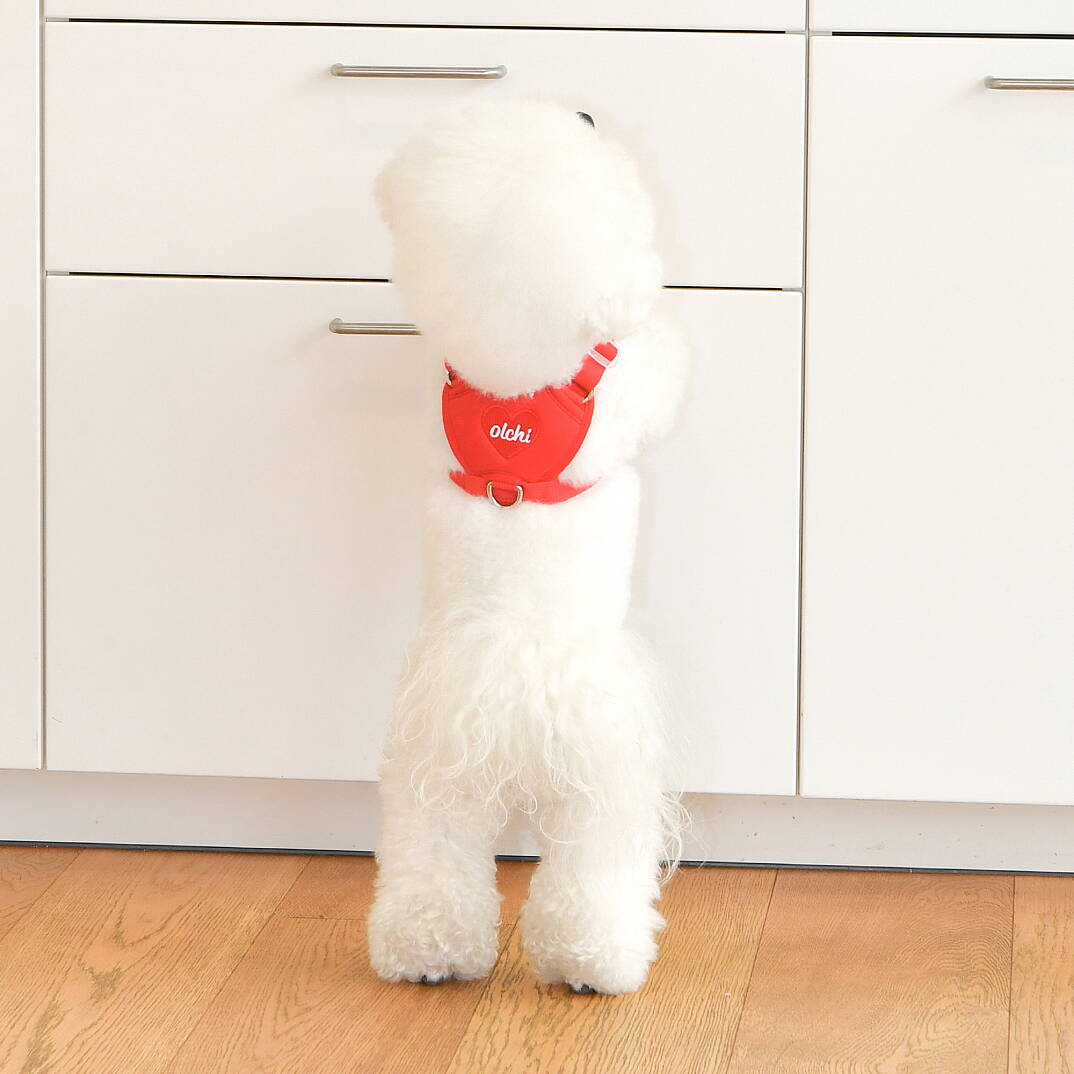 HEART HARNESS / RED - 4