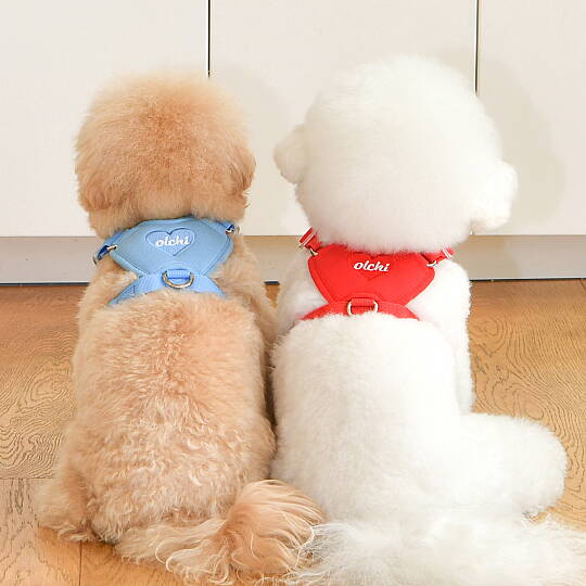 HEART HARNESS / RED - 7