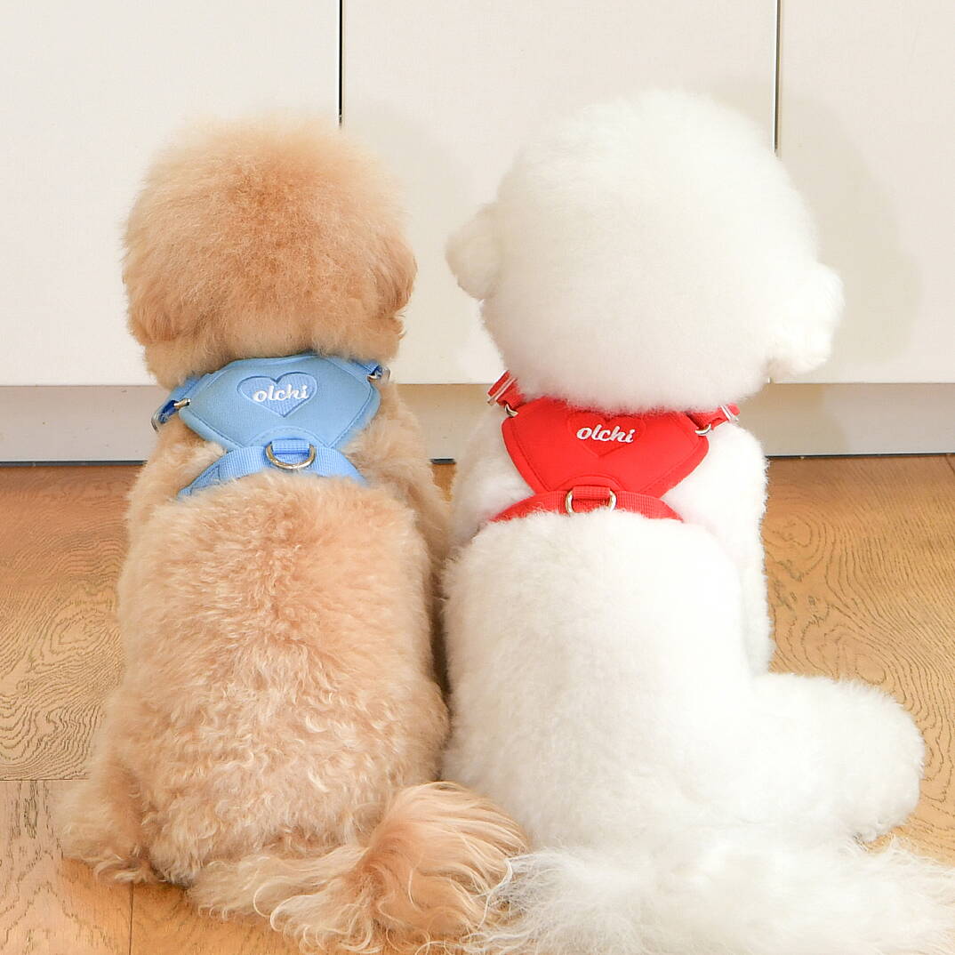 HEART HARNESS / RED - 7