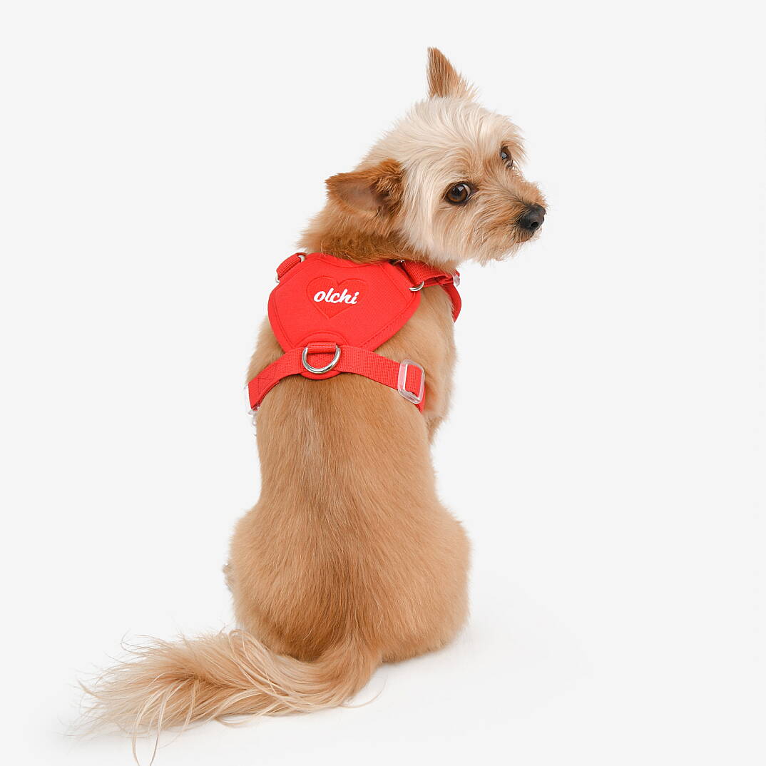 HEART HARNESS / RED - 6