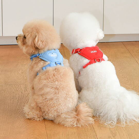 HEART HARNESS / SKY BLUE - 7