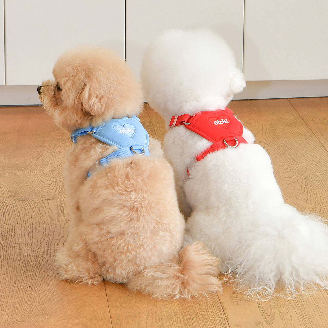 HEART HARNESS / SKY BLUE - 7
