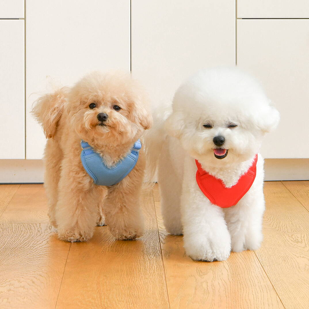 HEART HARNESS / SKY BLUE - 6