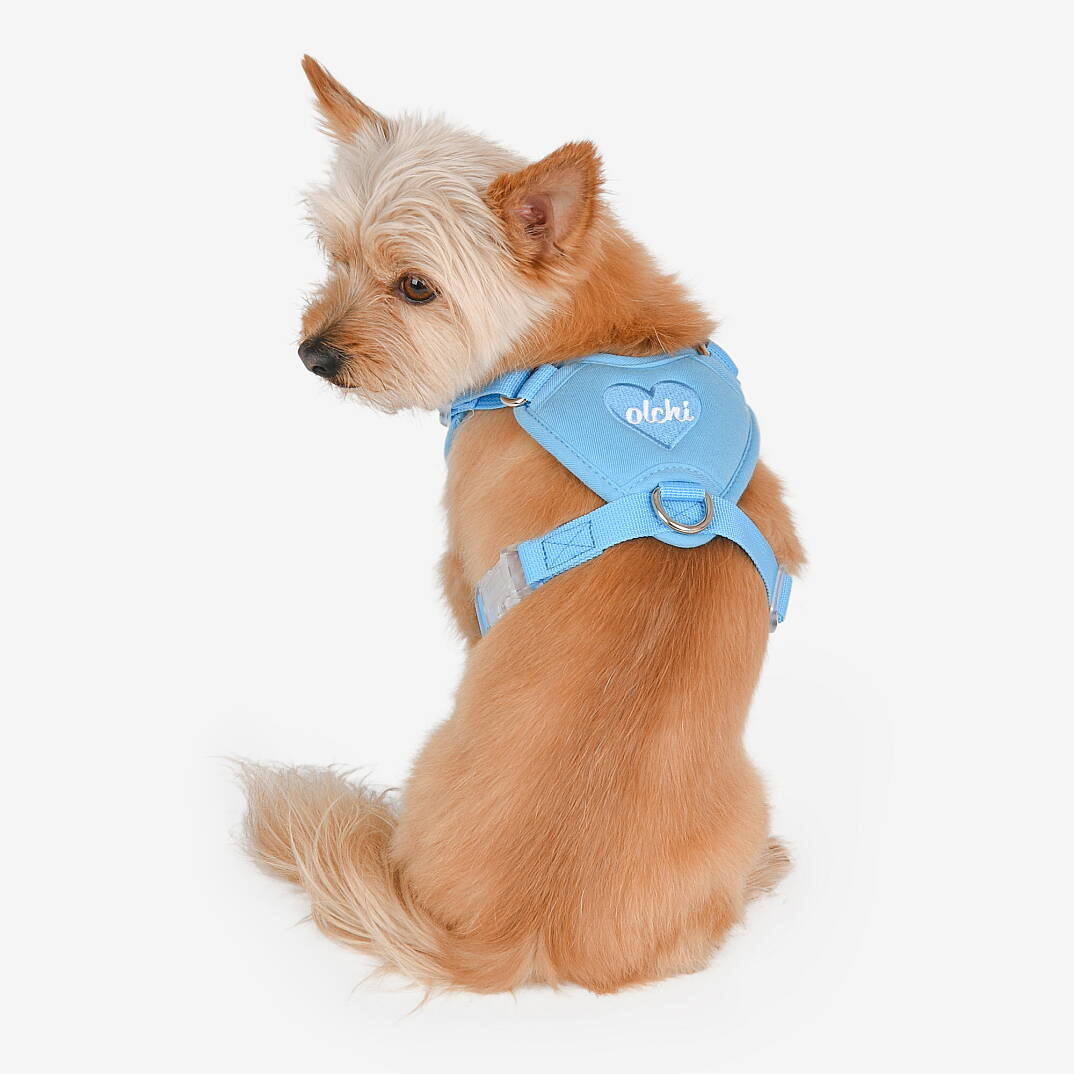 HEART HARNESS / SKY BLUE - 5