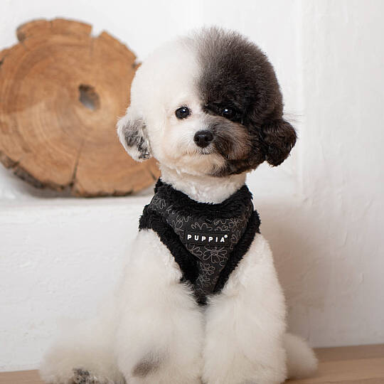 HEPATICA HARNESS A/BLACK/PAVD-HA1933-BK - 8