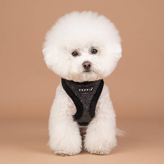 HEPATICA HARNESS A/BLACK/PAVD-HA1933-BK - 9