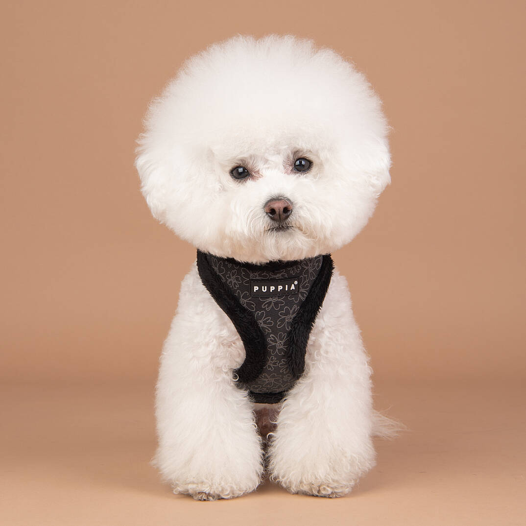 HEPATICA HARNESS A/BLACK/PAVD-HA1933-BK - 9