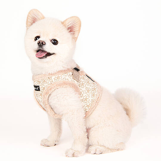 HEPATICA HARNESS B/BEIGE/PAVD-HB1933-BE - 9