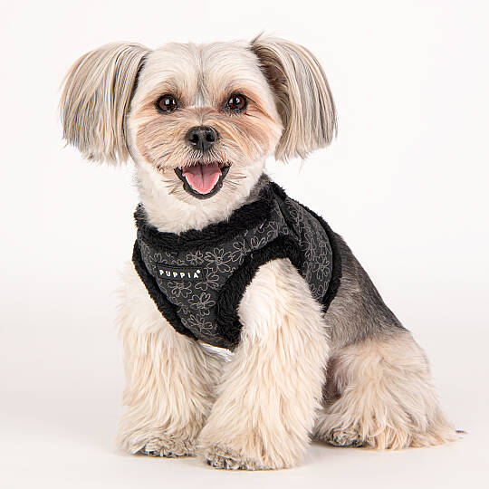 HEPATICA HARNESS B/BLACK/PAVD-HB1933-BK - 8