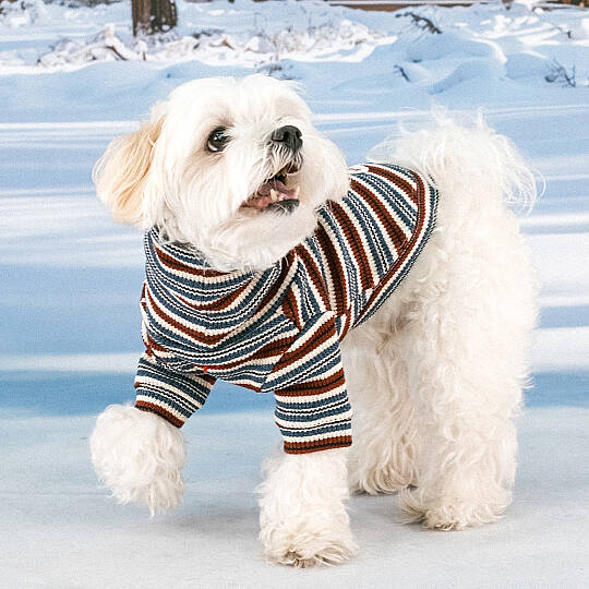 HERITAGE TURTLENECK SWEATER / WINE - 7