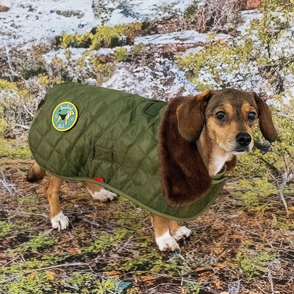 HIGHLAND QUILTED COAT / KHAKI - 6